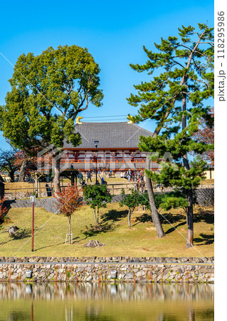 【奈良県】爽やかな青空が広がる猿沢池と興福寺 【奈良県】爽やかな青空が広がる猿沢池と興福寺 118295986