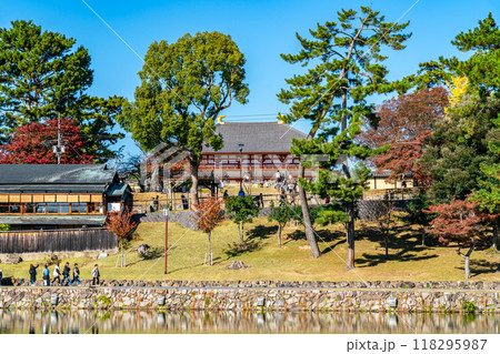 【奈良県】爽やかな青空が広がる猿沢池と興福寺 【奈良県】爽やかな青空が広がる猿沢池と興福寺 118295987