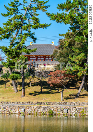 【奈良県】爽やかな青空が広がる猿沢池と興福寺 118295989