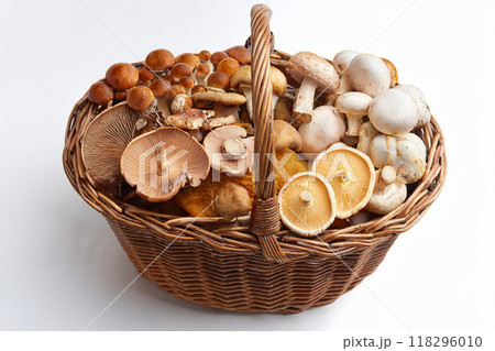 キノコ　集合 118296010