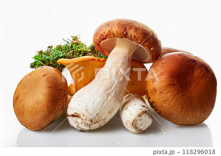 キノコ　集合 118296018