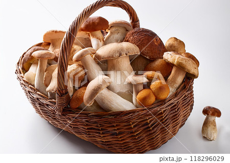 キノコ　集合 118296029
