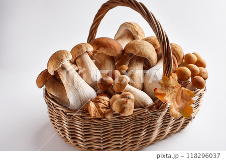 キノコ　集合 118296037