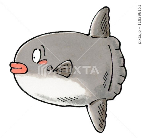 マンボウ マンボウ 118296151