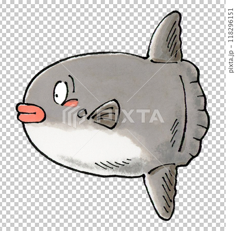 マンボウ マンボウ 118296151