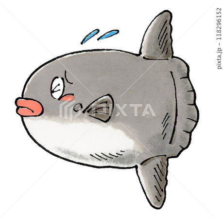 困るマンボウ 118296152