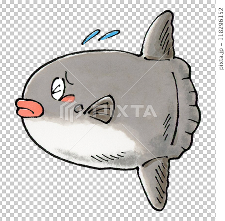 困るマンボウ 118296152