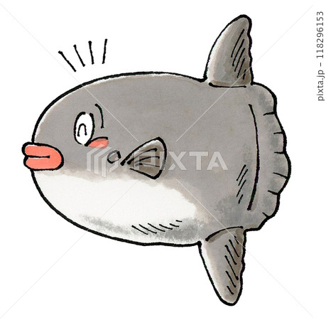 喜ぶマンボウ 喜ぶマンボウ 118296153