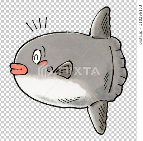 快樂的翻車魚 118296153