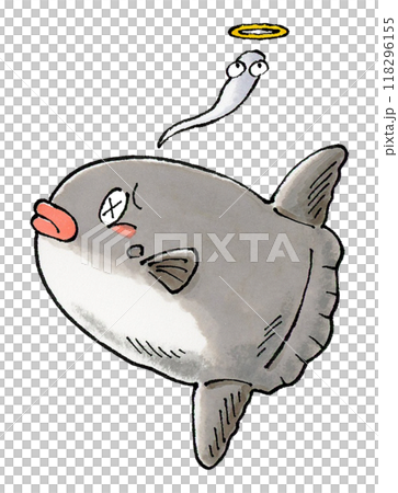 死翻車魚 死翻車魚 118296155