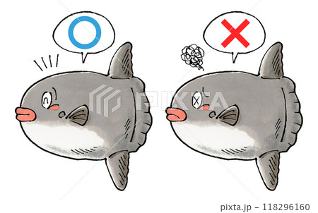 判定マンボウセット(マルバツ) 判定マンボウセット(マルバツ) 118296160