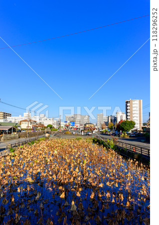 大正時代に築造された「禊（みそぎ）橋」から観える市街地風景　青井阿蘇神社（国宝）人吉市 118296252