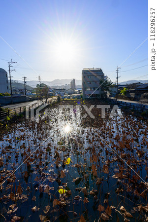 大正時代に築造された「禊（みそぎ）橋」から観える風景　青井阿蘇神社（国宝）人吉市 118296257