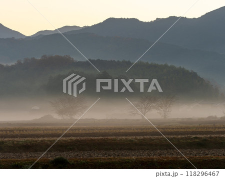 秋霧が立ちこめる明日香村の田園風景 秋霧が立ちこめる明日香村の田園風景 118296467