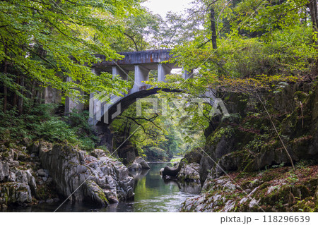 岩手県住田町葉山めがね橋水園 118296639