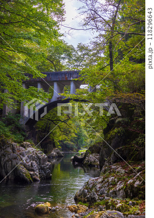 岩手県住田町葉山めがね橋水園 岩手県住田町葉山めがね橋水園 118296643