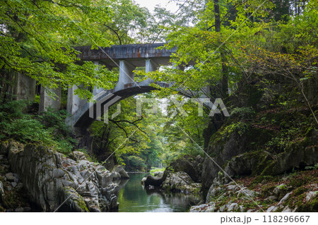 岩手県住田町葉山めがね橋水園 岩手県住田町葉山めがね橋水園 118296667