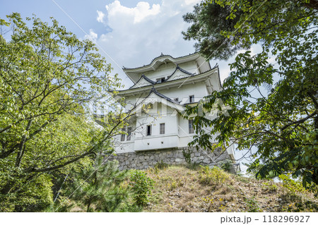 伊賀上野城（三重県） 118296927