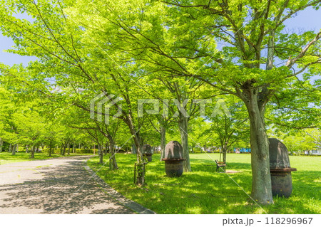 新緑の西神中央公園　神戸市西区にて 118296967