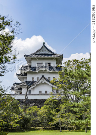 伊賀上野城（三重県） 118296968