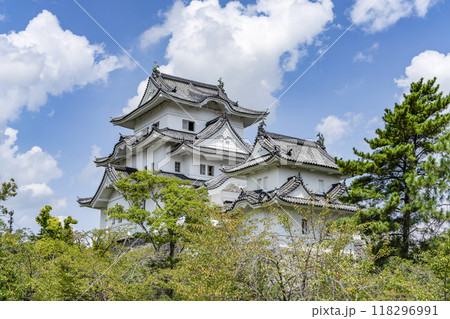 伊賀上野城（三重県） 118296991