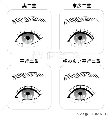 二重まぶたの種類 二重まぶたの種類 118297017