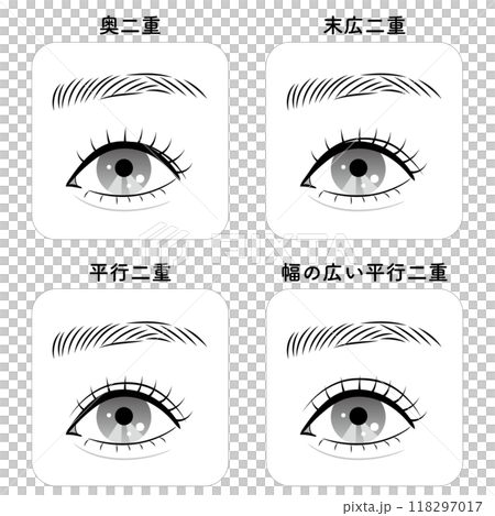 Types of double eyelids Types of double eyelids 118297017