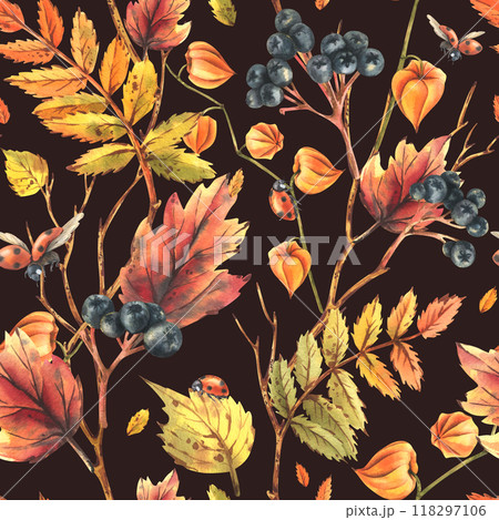 Autumn berries physalis, chokeberry, rowan leaves, maple, birch, tree branches and ladybugs. Watercolor illustrations. Seamless pattern on a dark background 118297106
