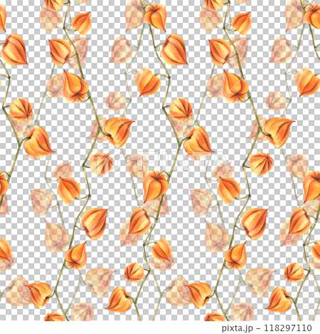 Autumn orange physalis berries on branches dry, without leaves dried flowers. Watercolor hand-drawn illustration. Seamless pattern on white background. 118297110