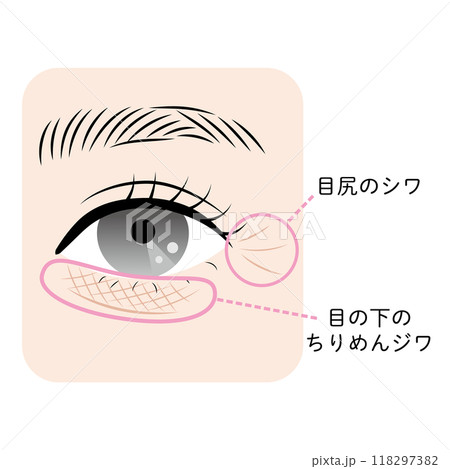 目の周りのシワ 118297382