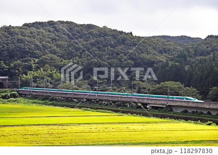 東北新幹線　新白河ー那須塩原　JR東日本　E5系’（仙台）　はやぶさ　やまびこ　なすの 118297830