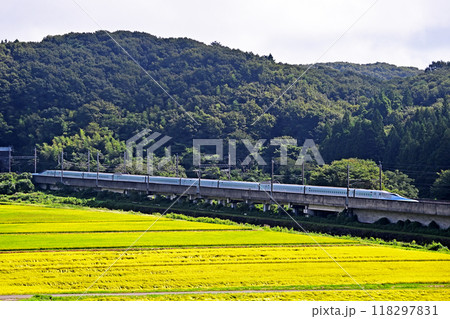 東北新幹線 新白河ー那須塩原 JR東日本 E956形 S13編成(仙台) ALFA-X 東北新幹線 新白河ー那須塩原 JR東日本 E956形 S13編成(仙台) ALFA-X 118297831