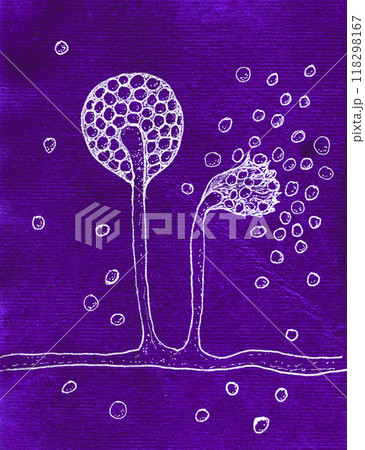 Detailed hand-drawn illustration showcasing the intricate structure and features of Mucor fungi 118298167