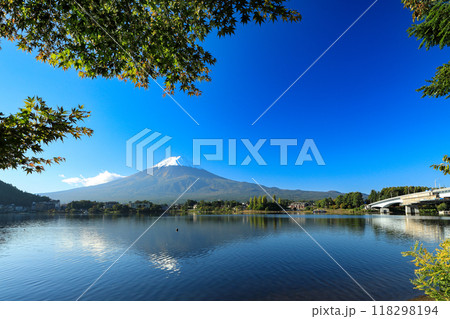 錦秋のもみじ紅葉と新雪の富士山　山梨県河口湖町 118298194