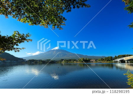 錦秋のもみじ紅葉と新雪の富士山　山梨県河口湖町 118298195