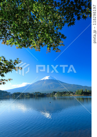 錦秋のもみじ紅葉と新雪の富士山 山梨県河口湖町 錦秋のもみじ紅葉と新雪の富士山 山梨県河口湖町 118298197