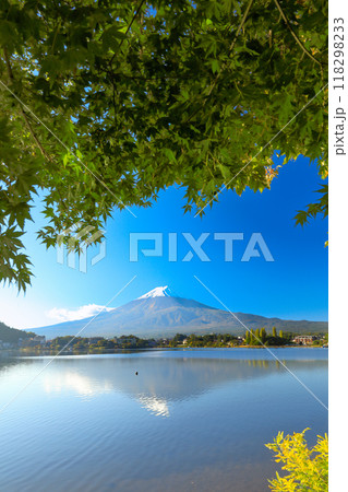 錦秋のもみじ紅葉と新雪の富士山　山梨県河口湖町 118298233