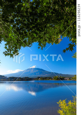 錦秋のもみじ紅葉と新雪の富士山　山梨県河口湖町 118298234
