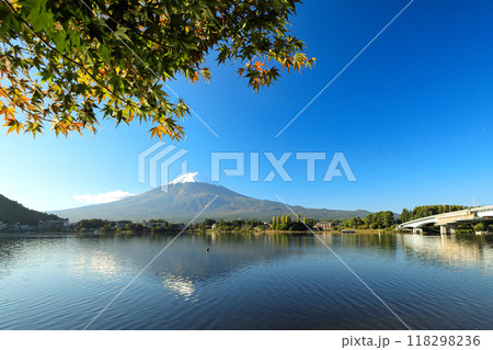錦秋のもみじ紅葉と新雪の富士山 山梨県河口湖町 錦秋のもみじ紅葉と新雪の富士山 山梨県河口湖町 118298236