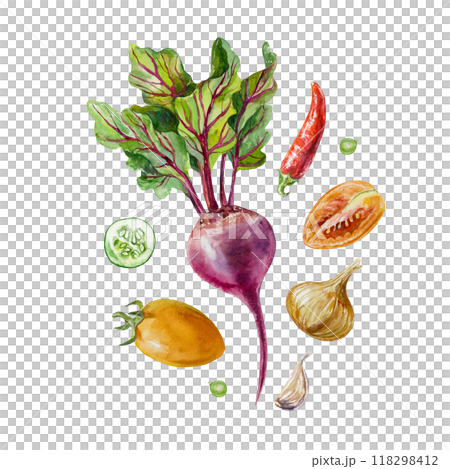 Vegetables set. Beetroot, tomatoes, peppers, onions, garlic. Hand drawn watercolor illustration. For postcards, labels, packaging, banner for Harvest Day and Vegetarian Day. 118298412