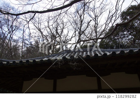 山崎台峯緑地　鎌倉市　北大路魯山人星岡窯跡 118299282