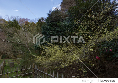 山崎台峯緑地 鎌倉市 北大路魯山人星岡窯跡 山崎台峯緑地 鎌倉市 北大路魯山人星岡窯跡 118299430