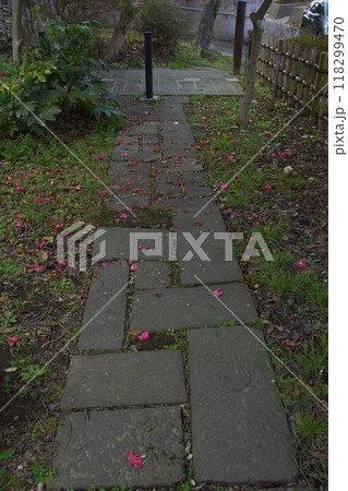 山崎台峯緑地 鎌倉市 北大路魯山人星岡窯跡 山崎台峯緑地 鎌倉市 北大路魯山人星岡窯跡 118299470