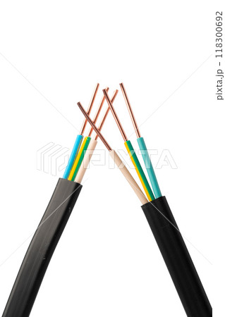Two-Wire Electrical Cable With Exposed Copper Strands Two-Wire Electrical Cable With Exposed Copper Strands 118300692