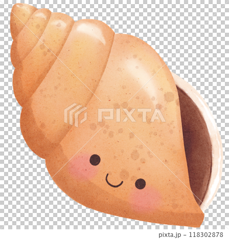Watercolor seashell 118302878