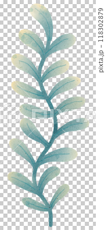 watercolor, coral, leaf 118302879