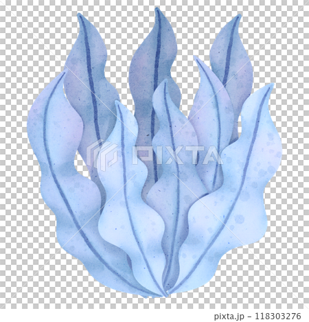 Watercolor sea plant 118303276