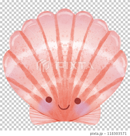 Watercolor seashell Watercolor seashell 118303571