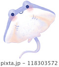 Stingray watercolor illustration isolated on white background 118303572