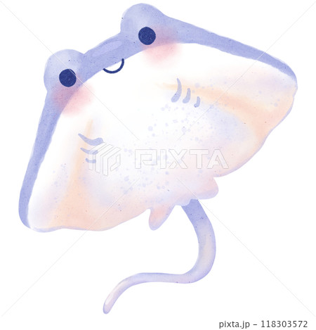 Stingray watercolor illustration isolated on white background 118303572